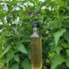 Sirop d'Agastache – Image 3