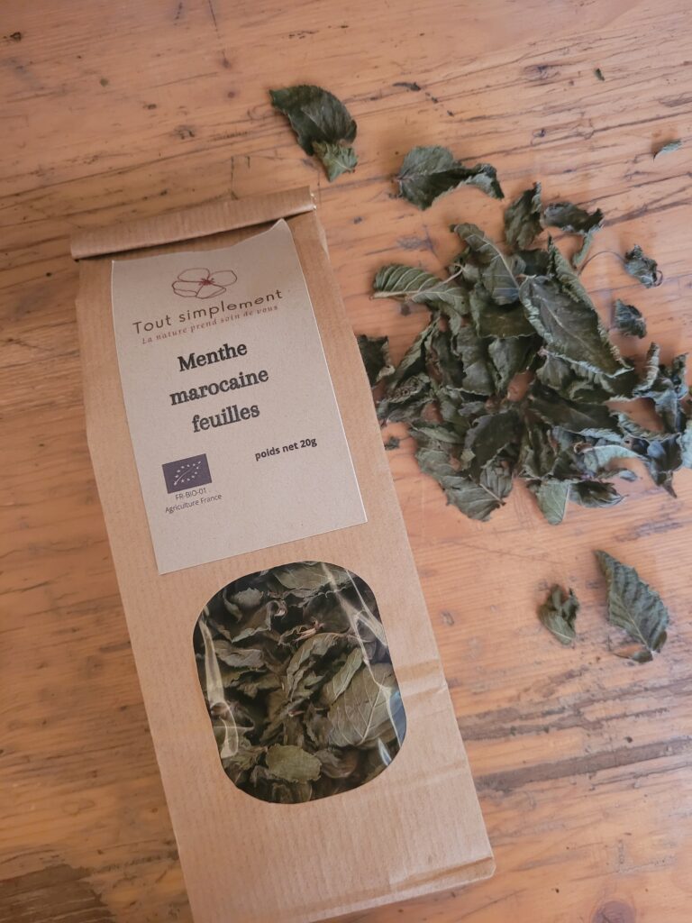 Menthe marocaine