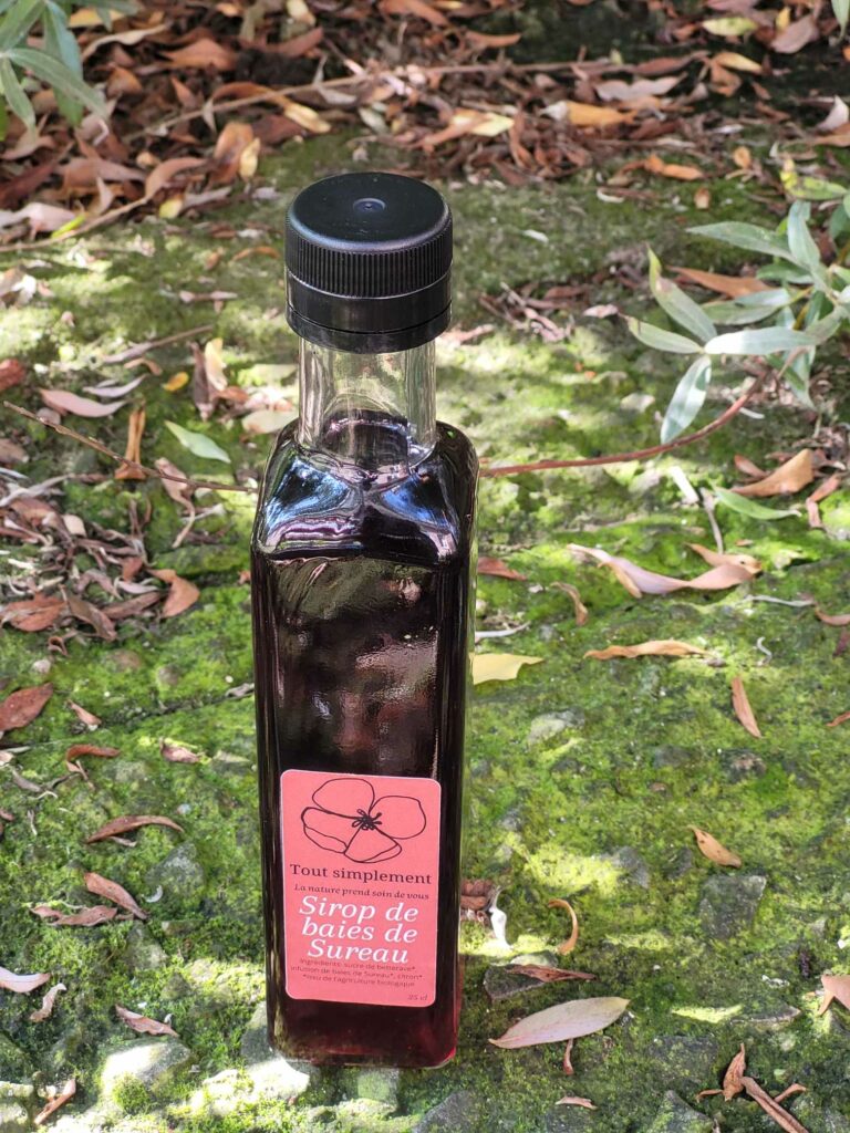 Sirop de Baies de sureau