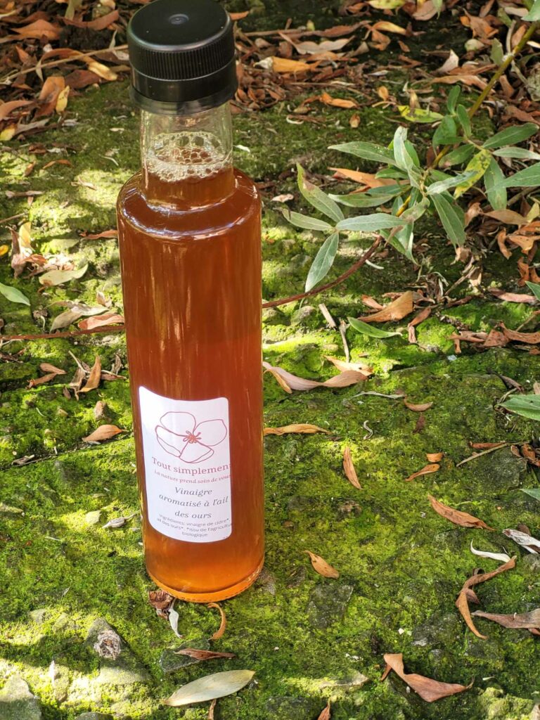 Vinaigre aromatisé à l'Ail des ours