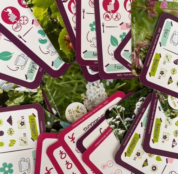 Jeu de cartes Cémarkéou – Image 3