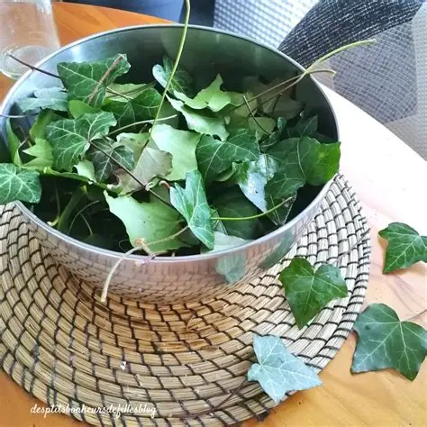 Journée internationale du zéro déchet: Fabriquer sa lessive maison